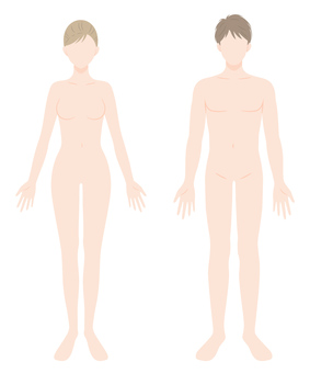 Male and female body naked whole body Male and female body naked whole body