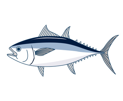 Bluefin tuna Bluefin tuna