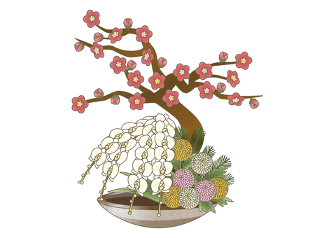 Plum orchid pine ping pong mum flower Plum orchid pine ping pong mum flower