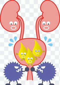 Medical-Benign prostatic hyperplasia Medical-Benign prostatic hyperplasia