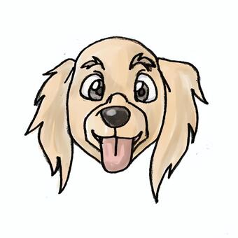Dog Golden Retriever Dog Golden Retriever