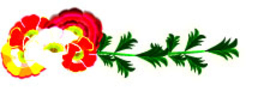Flower banner Flower banner