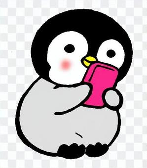 Penguin chicks watching smaho Penguin chicks watching smaho