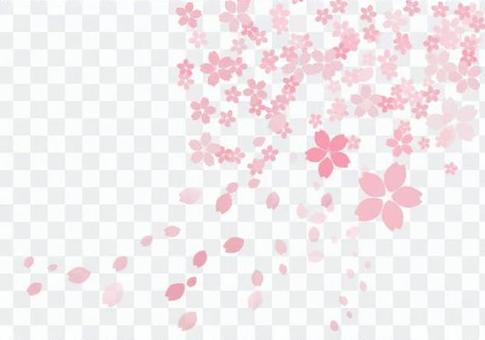Flower blossoms Flower blossoms
