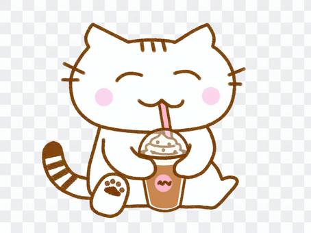 White cat drinking a drink White cat drinking a drink