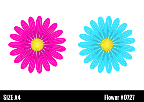 Vivid ornamental flowers Vivid ornamental flowers