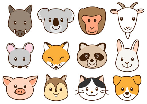 Animal face 2 Animal face 2
