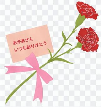 Carnation (with Mother's Day card) Carnation (with Mother's Day card)