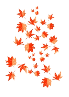 Autumn leaves Autumn leaves