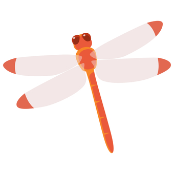 Red dragonfly Red dragonfly