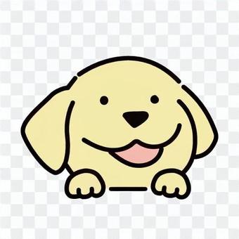 Golden retriever illustration Golden retriever illustration