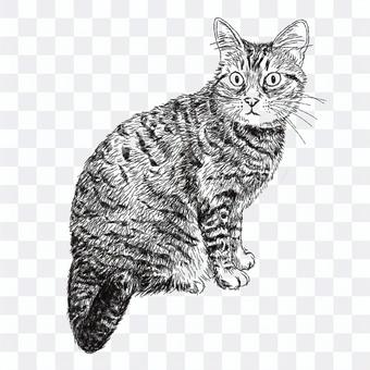 キジトラ・しま猫の絵/白黒手描きイラスト キジトラ・しま猫の絵/白黒手描きイラスト