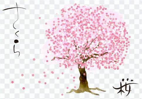 Watercolor style single cherry blossom Watercolor style single cherry blossom