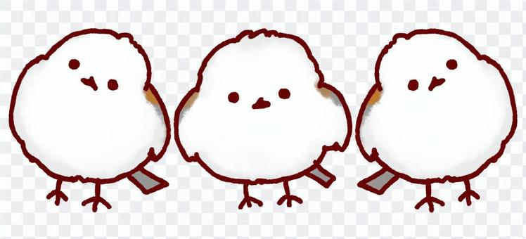 くっついて仲良しなシマエナガ くっついて仲良しなシマエナガ