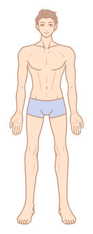 Male whole body Male whole body