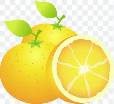 Mandarin orange navel Mandarin orange navel