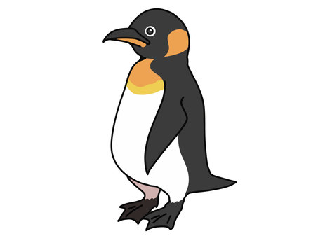 Emperor penguin Emperor penguin