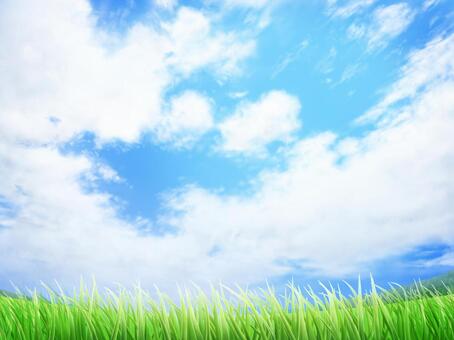 Grass and blue sky background / wallpaper frame Grass and blue sky background / wallpaper frame