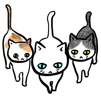 Cat walking Cat walking