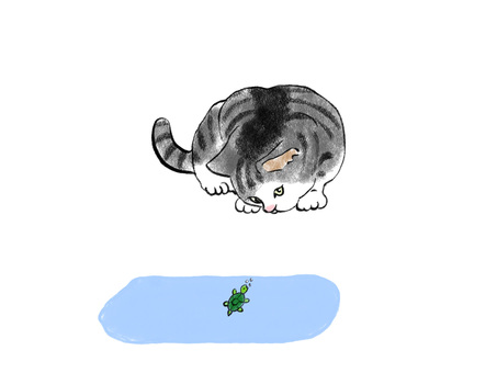 Cat peeking at 02 Sabatra Cat peeking at 02 Sabatra
