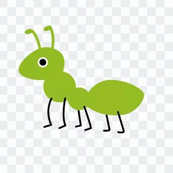 Yellow-green leftward insect Yellow-green leftward insect