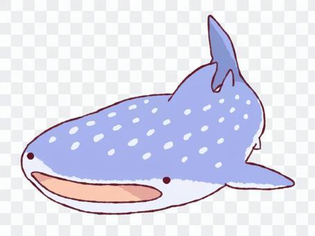 Whale shark Whale shark