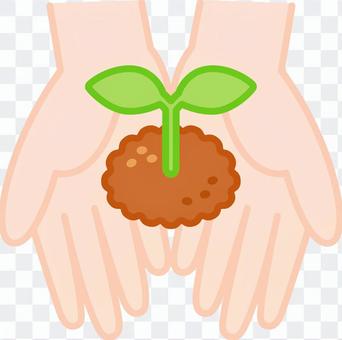 Futaba _ Both hands Futaba _ Both hands