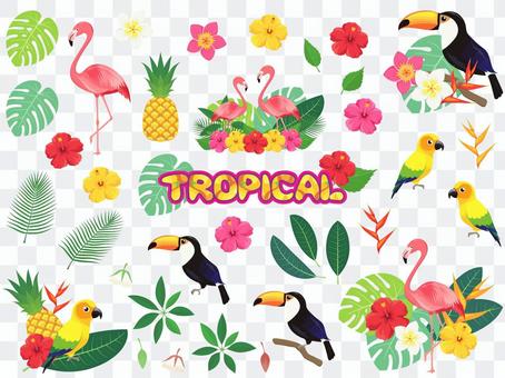 Tropical bird and flower set Tropical bird and flower set