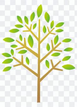 Tree _ green Tree _ green