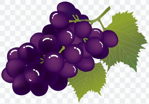 Grape (Giant Peony · Pione) Grape (Giant Peony · Pione)