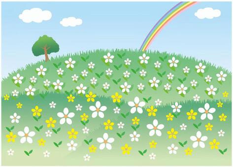 Scenery with rainbow and spring flowers Scenery with rainbow and spring flowers
