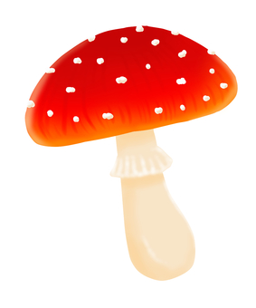 Illustration of fly agaric Illustration of fly agaric