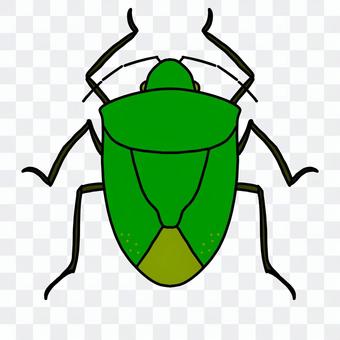 Stink bug Stink bug