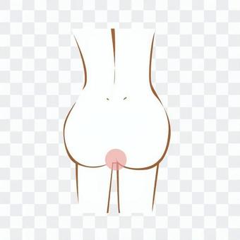 Women's O line (line drawing / point) Women's O line (line drawing / point)