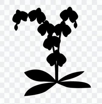 Phalaenopsis orchid silhouette Phalaenopsis orchid silhouette