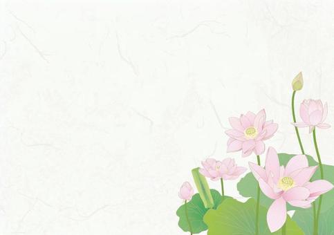 Japanese paper background _ lotus Japanese paper background _ lotus