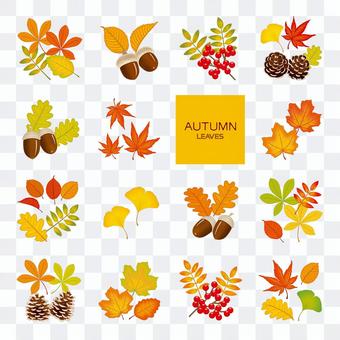 0841_autumn 0841_autumn