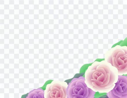 Leaf peony _ white background Leaf peony _ white background
