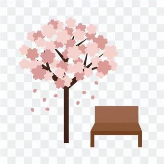 Image of park and cherry blossom viewing Image of park and cherry blossom viewing