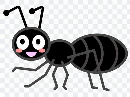 Ali 04 black Ali 04 black