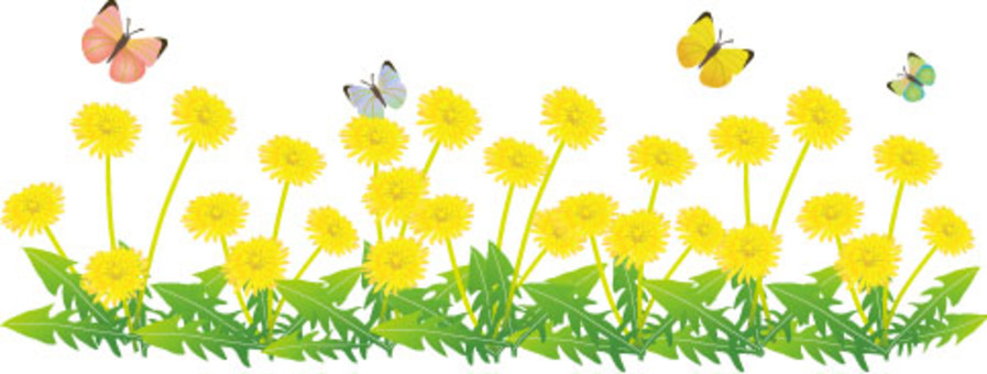 Dandelion flower garden and butterfly Dandelion flower garden and butterfly