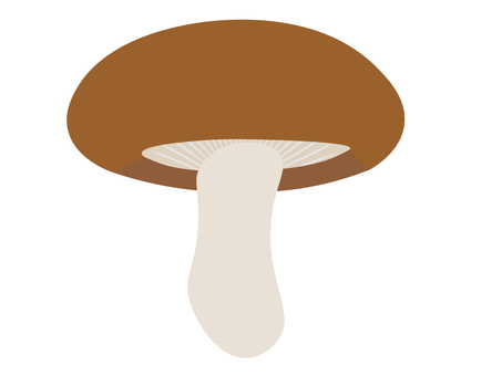 Shiitake mushrooms Shiitake mushrooms