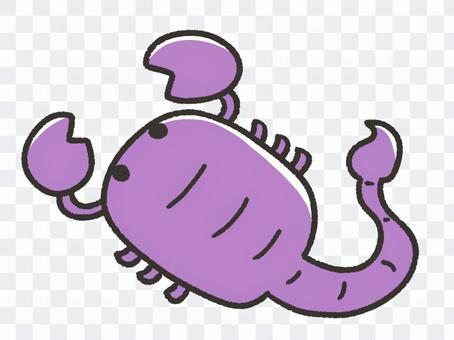 Cute scorpion, Scorpio Cute scorpion, Scorpio