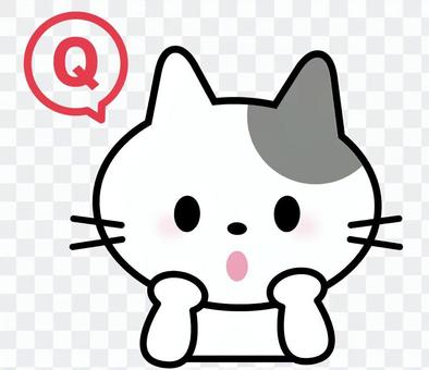 Cat _ Question Cat _ Question
