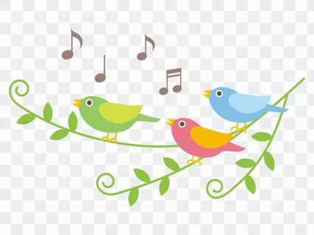 Singing little birds different colors Singing little birds different colors