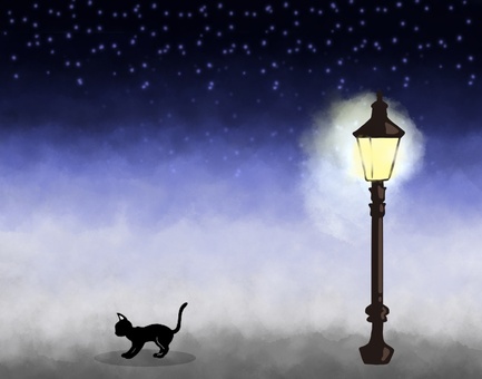 Cat and night street light Cat and night street light