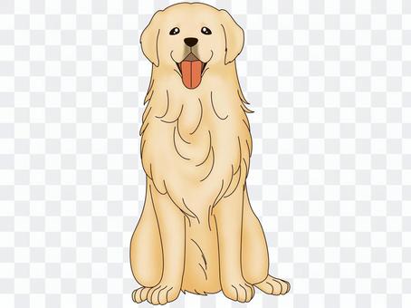 Sushi Retriever Sushi Retriever