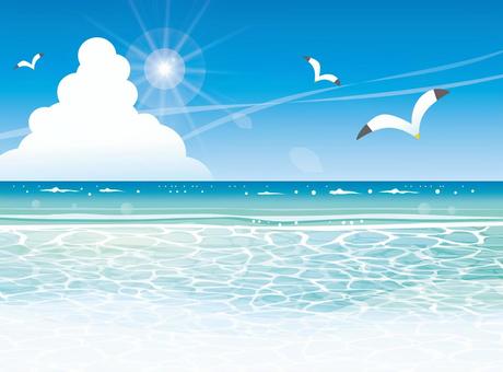 Summer sea beach and seagull Summer sea beach and seagull