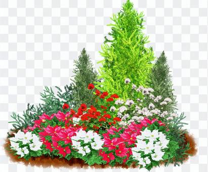Winter flower bed Winter flower bed