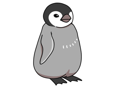 Penguins chick Penguins chick